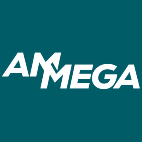 Ammega Group