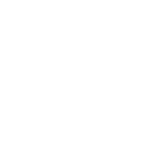 Gigamon