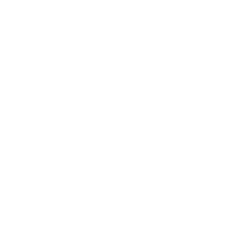 Mission Aviation Fellowship