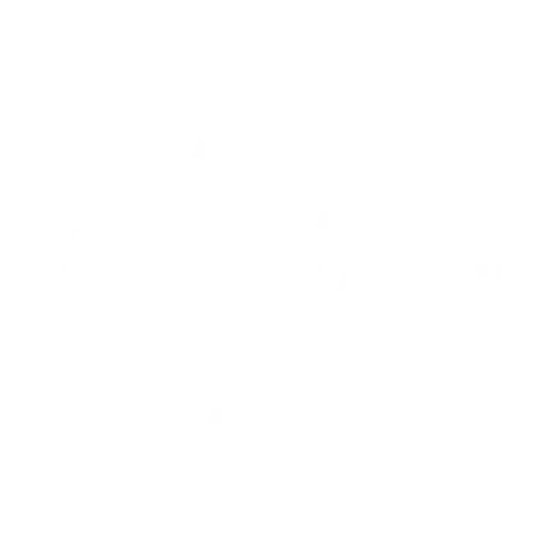Scouts