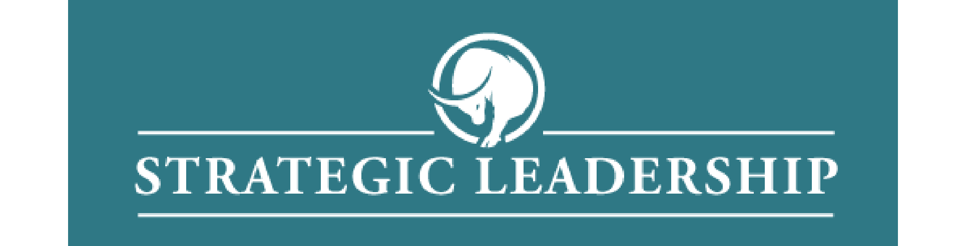 Strategic Leadership